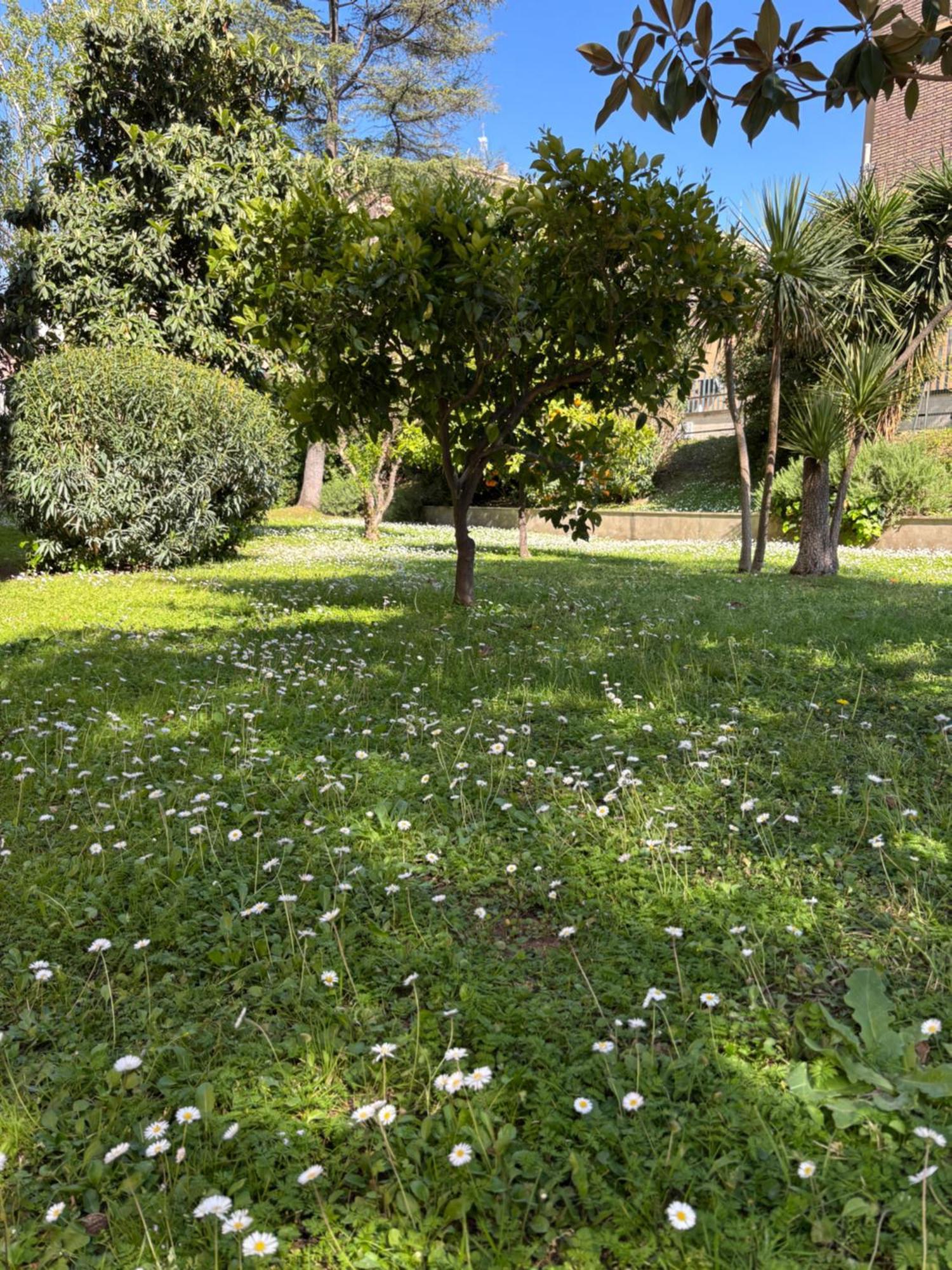 Grelly'S House - Holiday In Rome - 50 Meters From The Metro Buitenkant foto